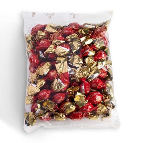 Leone seit 1857 - Dunkler süßer Trüffel - Praline aus Zartbitterschokolade und Haselnuss - Glutenfrei und vegan - Nachfüllbeutel - 500g von Pastiglie Leone