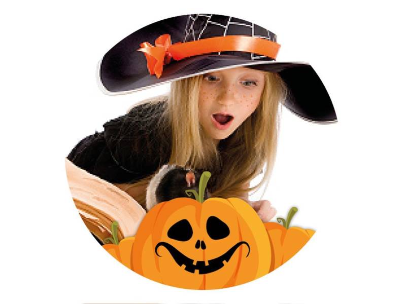 Tortenaufleger Halloween individuell rund 20cm von Pati-Versand