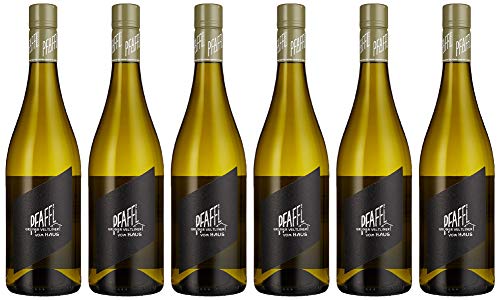 Pfaffl Weingut Grüner Veltliner VOM HAUS 2019 trocken (6 x 0.75 l) von Pfaffl