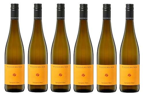 6x 0,75l - 2023er - Pfannebecker - Sauvignon Blanc - Qualitätswein Rheinhessen - Deutschland - Weißwein trocken von Pfannebecker