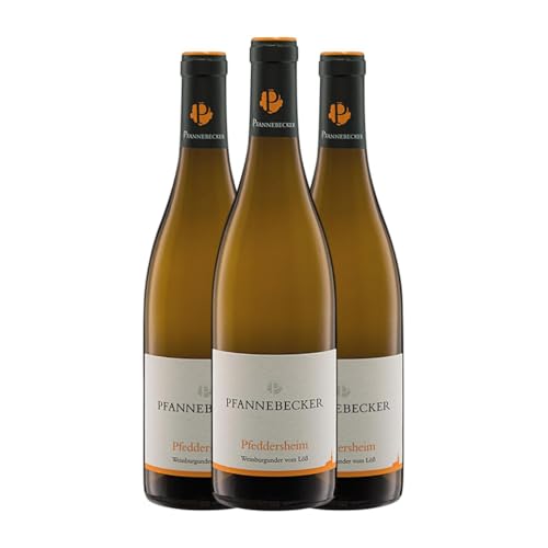 Pfannebecker Pfeddersheimer Weißburgunder Trocken Rheinhessen 75 cl Weißwein (Karton mit 3 Flaschen von 75 cl) von Pfannebecker