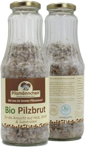 Bio Kräuterseitling Körnerbrut - Pilze selber züchten von Pilzmännchen