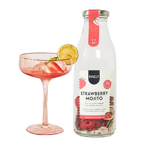 Pineut® Cocktail - DIY Erdbeer-Mojito - Strawberry Mojito - Cocktailpaket - Originelles Geschenk - Selber machen - Sommergetränk von Pineut