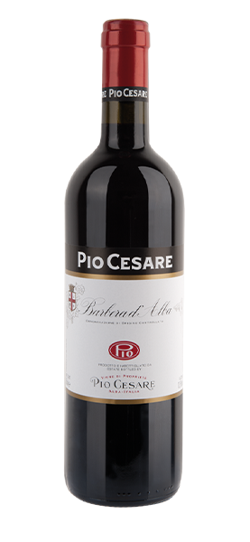 Barbera d'Alba DOC 2022 von Pio Cesare