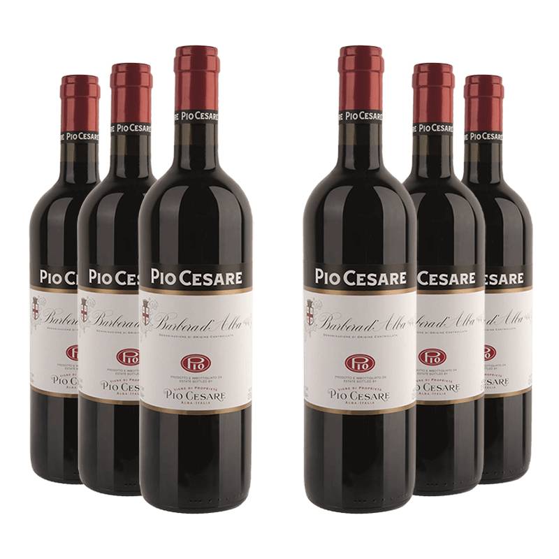 Pio Cesare : Barbera d'Alba 2023 von Pio Cesare