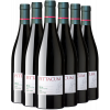 Pittacum 2020 Aktionspaket Pittacum Bierzo DO von Pittacum