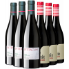 Pittacum  Kennenlernpaket Pittacum Bierzo DO von Pittacum