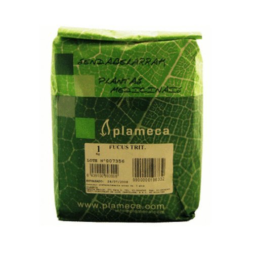 Geschreddertes Fucuskraut 1 kg von Plameca