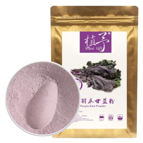 100% Natural Pure Purple Kale Powder 100g/3.52oz 紫羽衣甘蓝粉 Natürliche Lebensmittelfarbe, ideal für Backen, Säfte, Smoothies, Shakes und Getränke. von Plant Gift