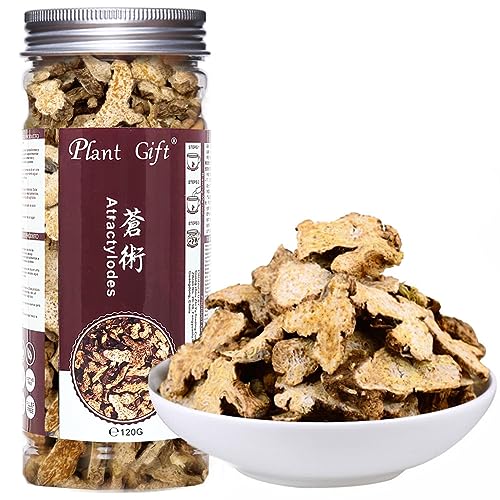 Plant Gift Cang Zhu Atractylodes Tea, 苍术 100% reiner Cang Zhu atractylodes Tee, getrocknete Bulk Kräuter traditionelle Medikamente, chinesische Kräuter, Atractyloden Makrozephala 120g / 4.23oz von Plant Gift