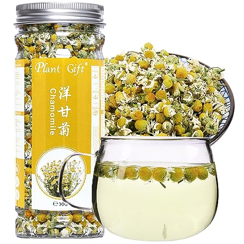 Plant Gift Chamomile Tea, 洋甘菊 100% reiner Kamille-Tee, machen Akne-Teebeutel, Kamille Tee loses Blatt, mit Lavendel-Tee, Extrakt-Kamille-ätherische Öle, traditionelle Medikamente 30g von Plant Gift