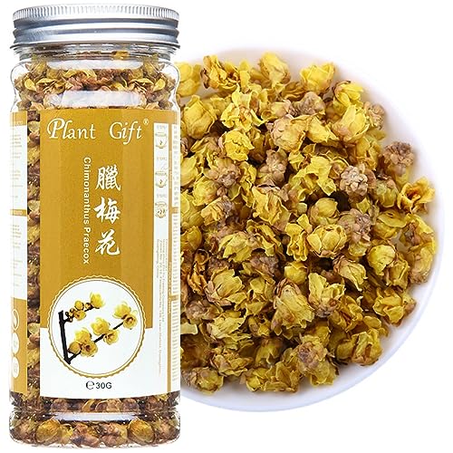 Plant Gift Chimonanthus Praecox Flower 30G/1.05oz 腊梅花 Chimonanthus Praecox Blume, reiner Kräutertee, Koffeinfrei, kein GVO, Gesundheit chinesischer Tee, loser Blatttee von Plant Gift