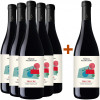 Podere Pellicciano 2021 5+1 Paket Tricche Rosso Toscana IGP von Podere Pellicciano