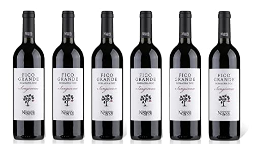 6x 0,75l - 2023er - Poderi dal Nespoli - Fico Grande - Sangiovese - Romagna D.O.P. - Emilia-Romagna - Italien - Rotwein trocken von Poderi dal Nespoli