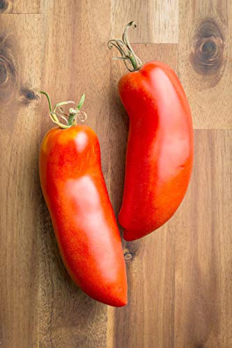 Portal Cool 10 Samen mit Tracking: le Paste Tomatensamen Nicht ohne Gentechnik gut für Sauce und frische Salsas Salate von Portal Cool