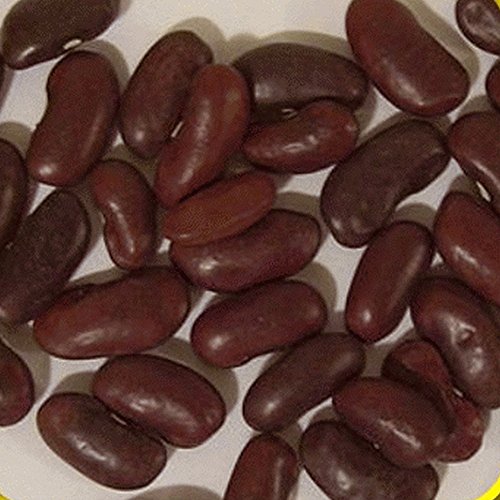 Portal Cool 160 Sm Red Dry B Seeds - Evere Farms Mylar-Samen-Paket von Portal Cool