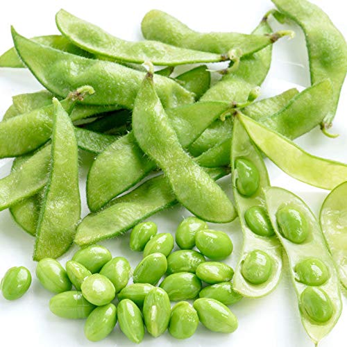 Portal Cool B Sojasamen - Edamame von Portal Cool