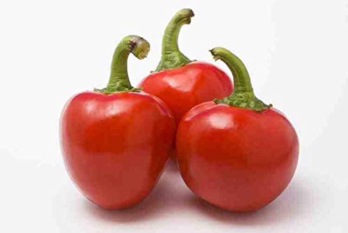 Portal Cool Chilli Seeds - Cherry Bomb X 80 von Portal Cool