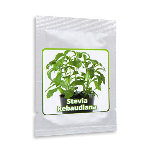 Portal Cool Stevia Samen Ca. 100 Stück/Pack - Stevia/Stevia natürlicher SüÃŸstoff von Portal Cool