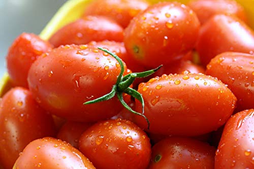 Portal Cool Tomate, Roma Bio-Samen 10+ Die Classic SoÃŸe und Paste Tomaten von Portal Cool