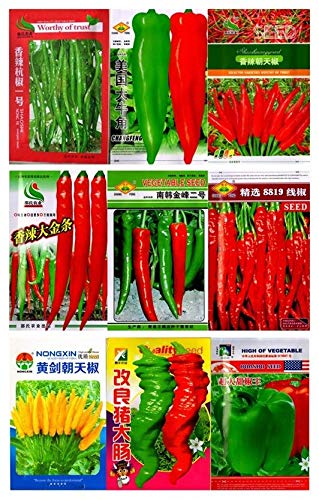 Portal Cool Yellow Pod Chili Pepper 300 Se.: Pfeffer Chili Samen Original-Bunte paket Garten Gemüse Original-Chili-Peperoni-Seeds von Portal Cool