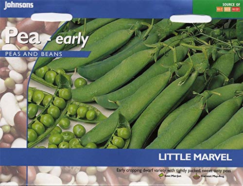 Portal Cool s Seeds - Pictorial Pack - Gemüse - Pea e Marvel - 300 Samen von Portal Cool
