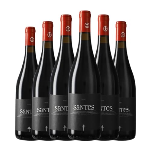 Portal del Montsant Santes Catalunya 75 cl (Schachtel mit 6 Flaschen von 75 cl) von Distribuidor