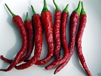 10 Kashmiri Chili (Pfeffer Seeds) Berühmter indischer Paprika -A Must wachsen. Sehr selten von Potseed