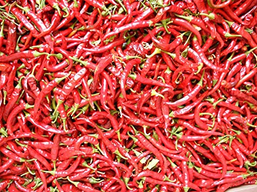 Bio-Gemüse - Pfeffer (Paprika) - Ring of Fire - 15 Seeds - Wirtschaft von Potseed