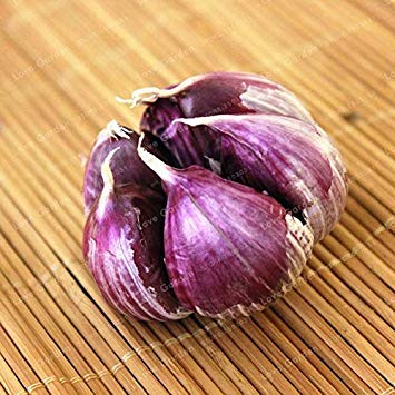 Potseed . 100 PC Multi-Petals Knoblauch Bio-Rot Gesundes Grün Gemüse für Küche Würzen von Speisen Hausgarten: 3 von Potseed