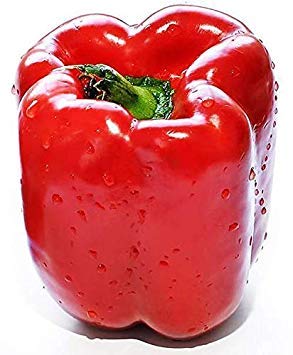 Potseed 1 Packung 100 Red Paprika Samen paprike Capsicum Bio-Gemüse S041 von Potseed