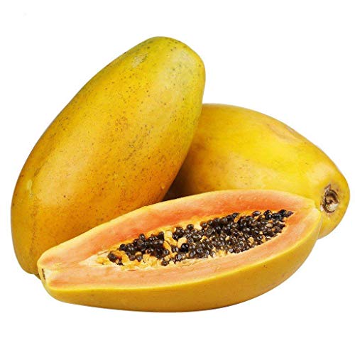 Potseed 100 Papaya natürliche Bio-Fruchtsamen von Potseed