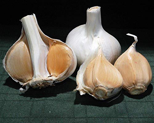 Potseed 100 Stück Knoblauch Samen Erbstück Bio-Birnen-Seed-Hausgarten, Gemüse, Kräuter von Potseed