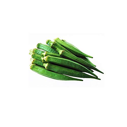 Potseed 100pcs Okra Seeds Clemson Spineless Okra Seeds - Gold Vault Bio-Saatgut von Potseed