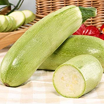 Potseed 20 frisch gepflückten Zucchini Samen Guten Geschmack Gemüse DIY Kochen von Potseed