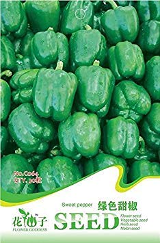 Potseed 2018 heißen Big Green Sweet Paprika Samt, Originalverpackung, 8 Samen/Pack, Erbstück C064 Bio-Gemüse # von Potseed