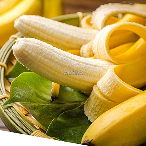 Potseed 50Pcs: Nährstoffreiche Health Care Multi-Funtion Früchte Banana Samen WST von Potseed