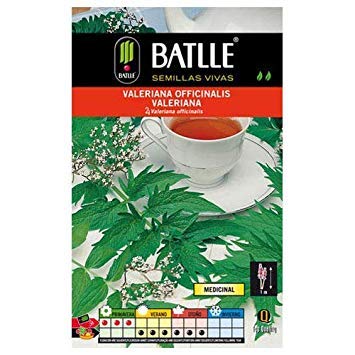 Potseed Aromatische Seed Batlle - Valeriana officinalis (0.5G) von Potseed