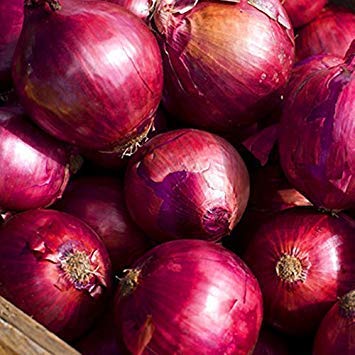 Potseed Frische Purple Onion Gemüsesamen - 50 PC/Los von Potseed