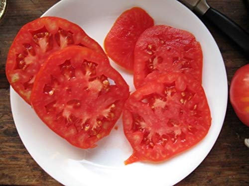 Potseed Keimfutter: 50 - Seeds: Boxcar Willie Tomato - Altmodische Tomate Flavor.Mmmmm.Good von Potseed