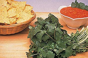 Potseed Keimfutter: Cilantro Santo oder Koriander 200 Seed von Potseed