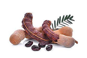 Potseed Keimfutter: Süße Tropical Tamarind Samen Bio-und Frische 50 für 8.99 USA von Potseed