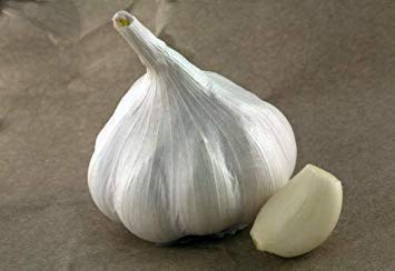 Potseed Knoblauch „Porzellan“ Seeds 20 Gewürznelken von 3 Glühbirnen von Potseed