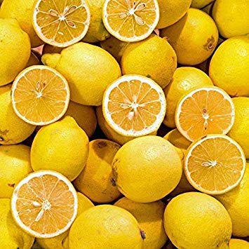 Potseed Orange Lemon (10 Samen): 10 Stück/Beutel Köstlicher Frucht Zitrone Bäume pflanzte Samen Garten Leicht Seur Einpflanzen von Potseed