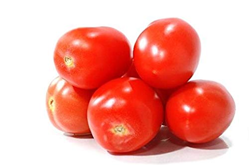 Potseed Samen Keimung: 50 - Samen: Viva Italia Hybrid Tomatensamen - Make Outstanding Suppen und Ketchup. !!! von Potseed