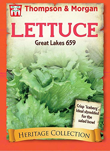 Potseed Thompson & Morgan - Heritage Gemüse - Salat Great Lakes 659-400 Seed von Potseed