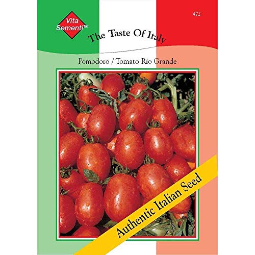 Potseed Thompson & Morgan - The Taste of Italy Tomato Rio Grande - 350 Samen von Potseed