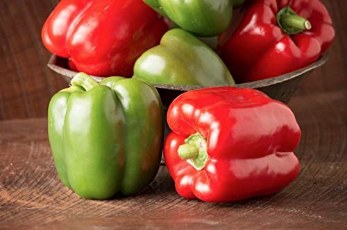 Samen Keimung: 25 - Seeds: Bessere Belle II Hybrid Paprika Seeds - Perfect Fresh in Salaten oder Stuffed von Potseed