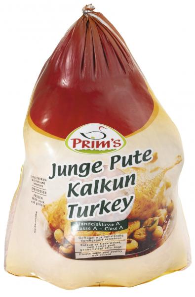 Prim's Junge Pute von Prim's