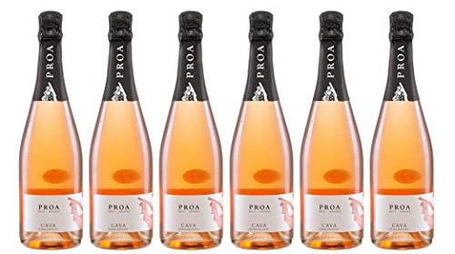 6x 0,75l - Vallformosa - Proa - Brut Rosado - Cava D.O.P. - Spanien - Rosé-Schaumwein brut von Proa